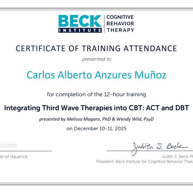 Ampliar imagen: certificate 16