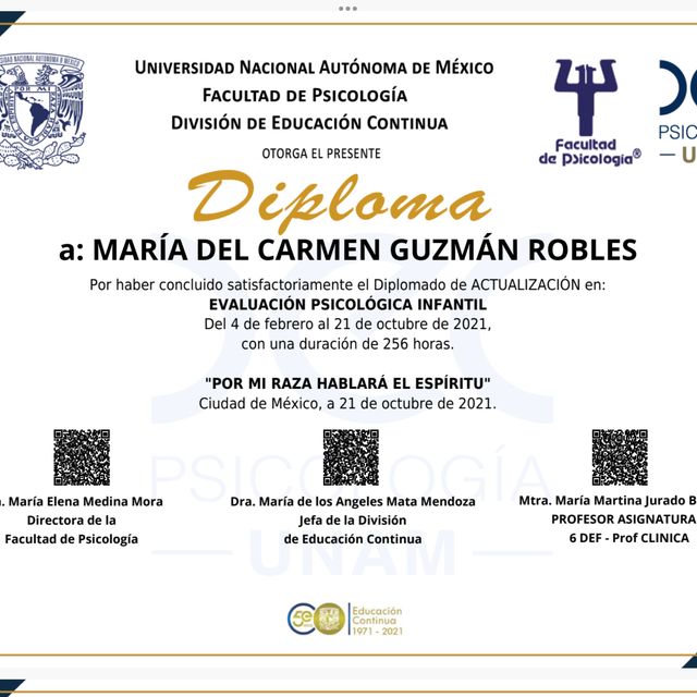 Ampliar imagen: certificate 1