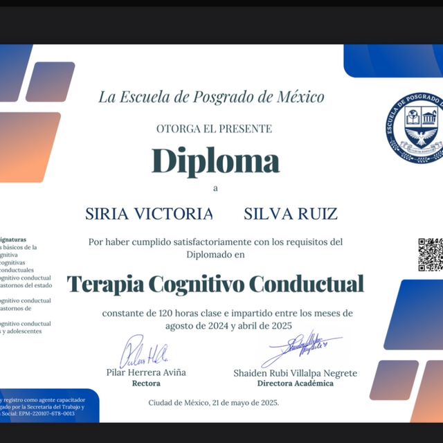 Ampliar imagen: certificate 2