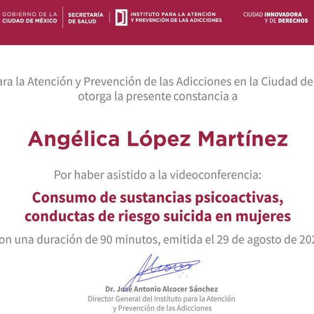 Ampliar imagen: certificate 2