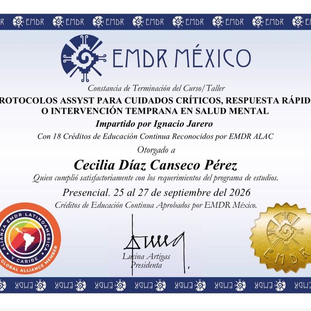 Ampliar imagen: certificate 10