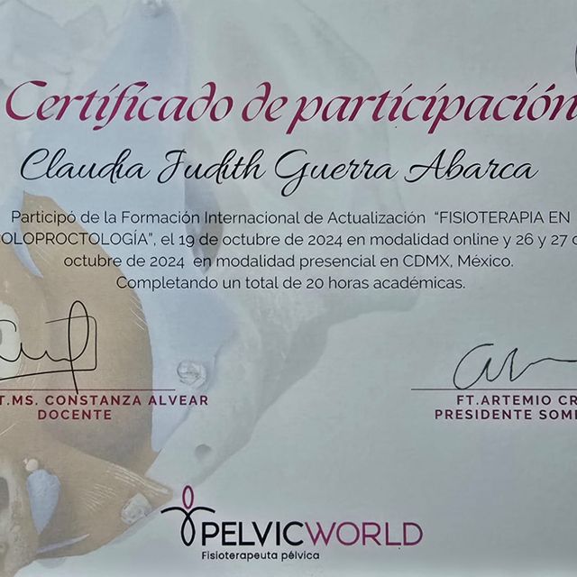 Ampliar imagen: certificate 3