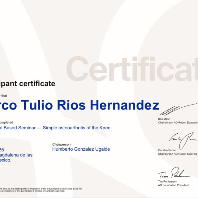 Ampliar imagen: certificate 5