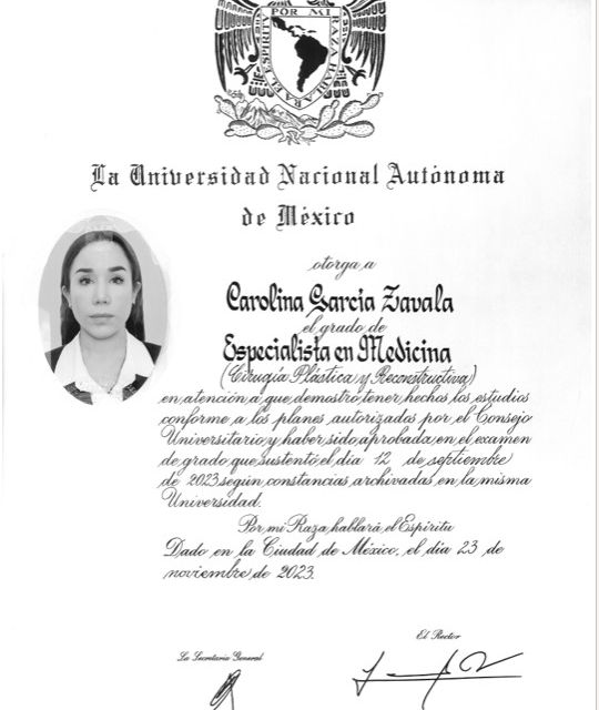 Ampliar imagen: certificate 1