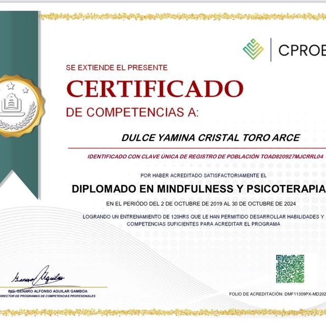 Ampliar imagen: certificate 2