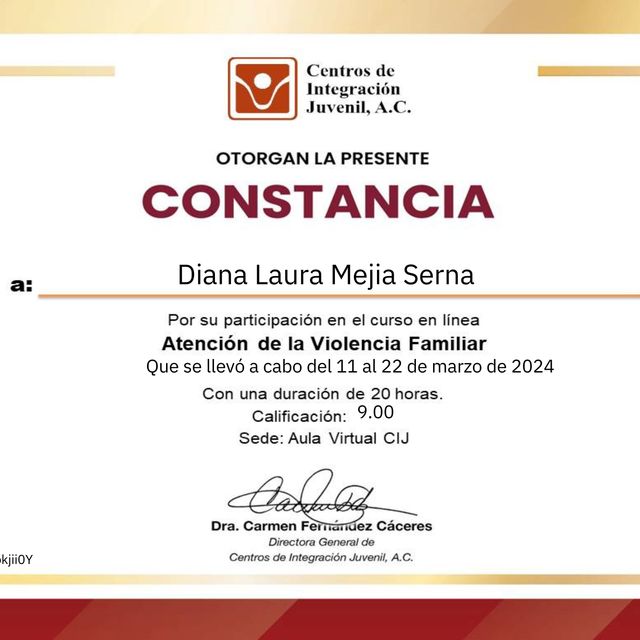 Ampliar imagen: certificate 2