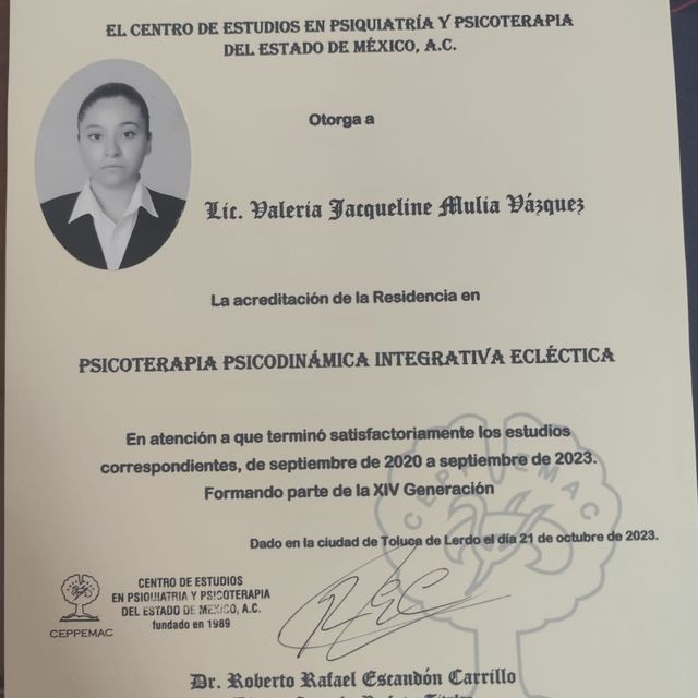 Ampliar imagen: certificate 1