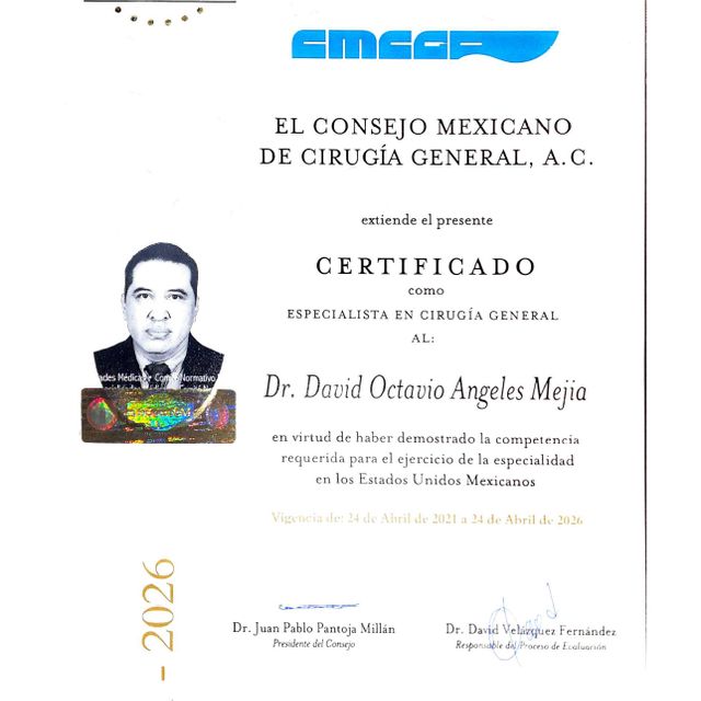 Ampliar imagen: certificate 4