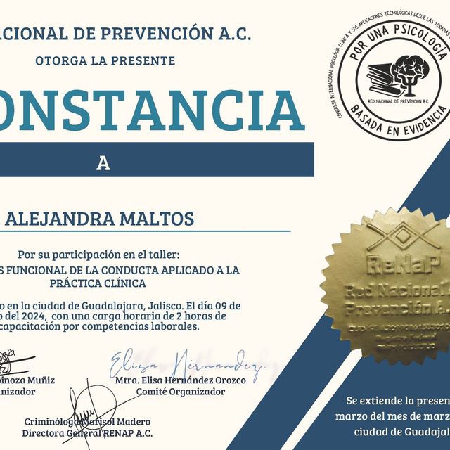 Ampliar imagen: certificate 4
