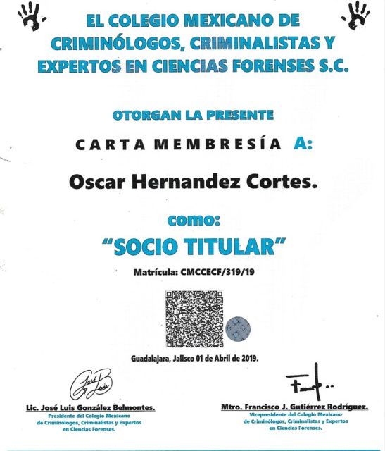 Ampliar imagen: certificate 5