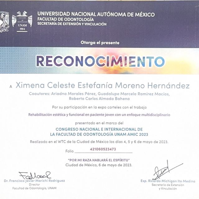 Ampliar imagen: certificate 3