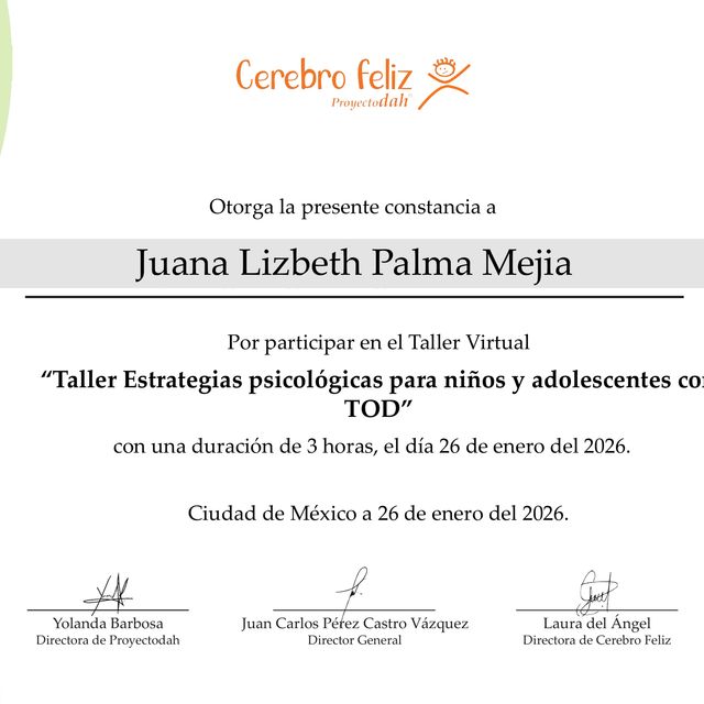 Ampliar imagen: certificate 6