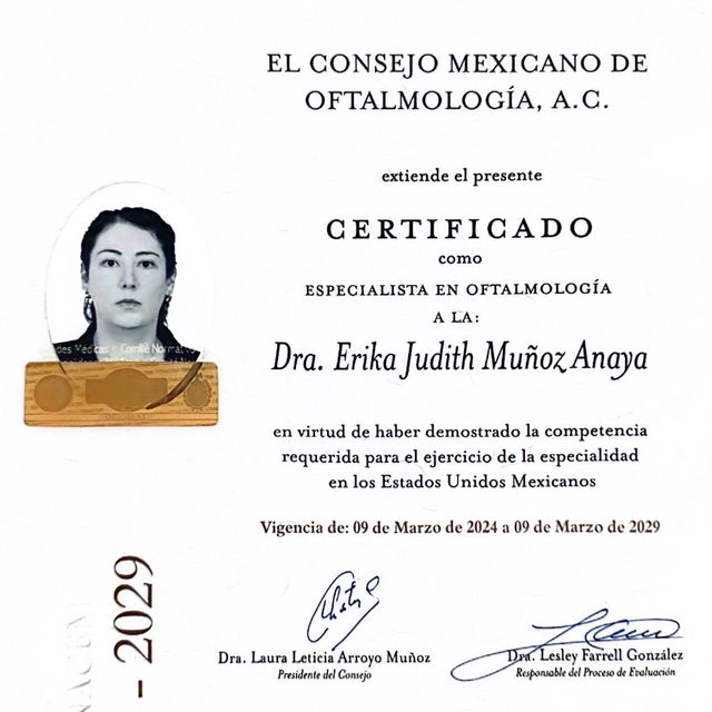 Ampliar imagen: certificate 8