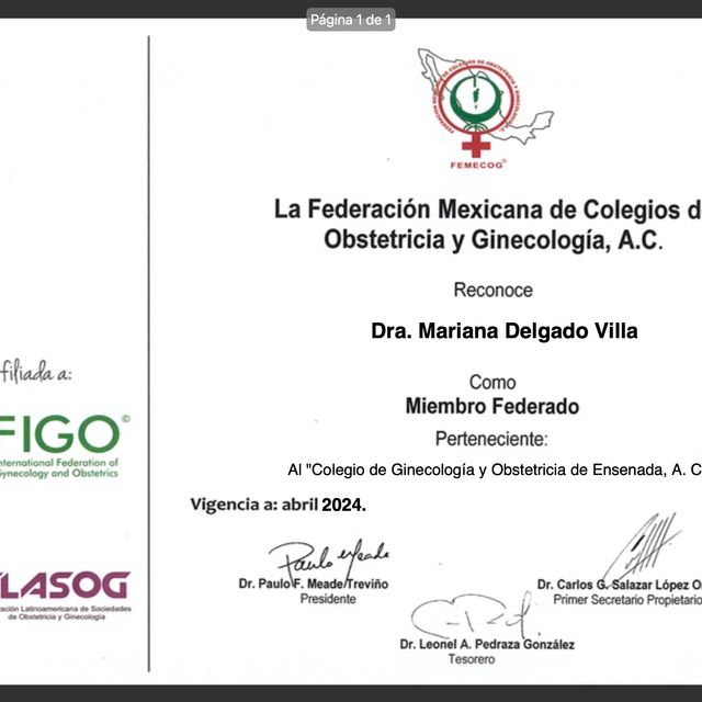Ampliar imagen: certificate 7