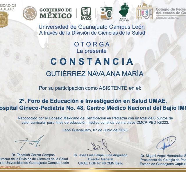 Ampliar imagen: certificate 4