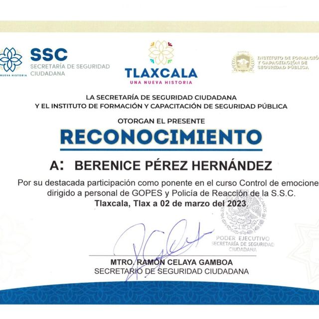Ampliar imagen: certificate 7