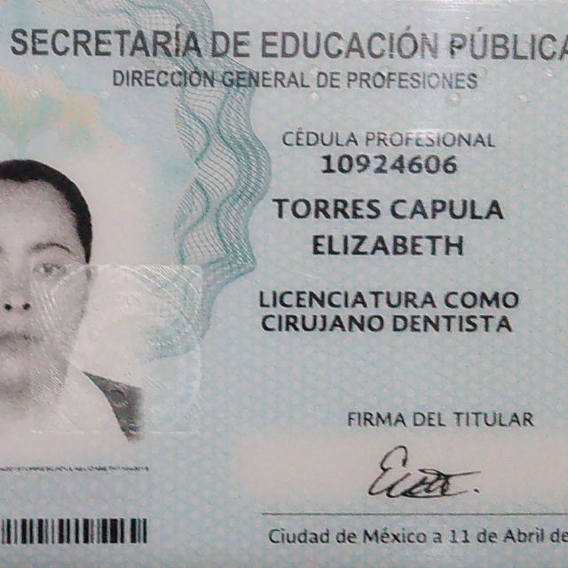 Ampliar imagen: certificate 2