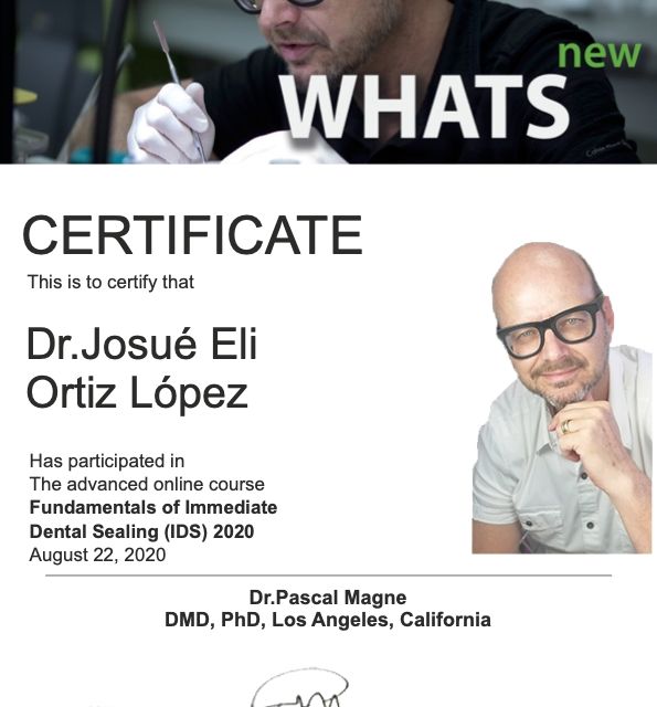 Ampliar imagen: certificate 4