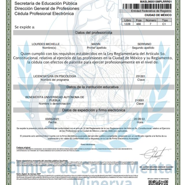 Ampliar imagen: certificate 2