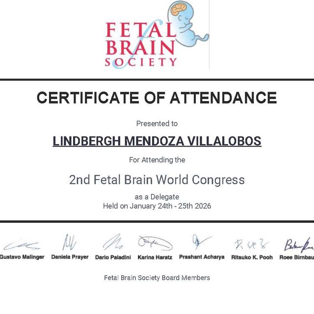 Ampliar imagen: certificate 9