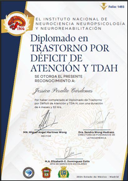 Ampliar imagen: certificate 9