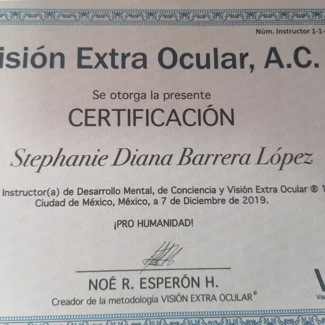 Ampliar imagen: certificate 13