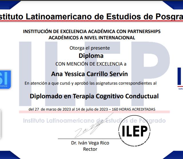 Ampliar imagen: certificate 3