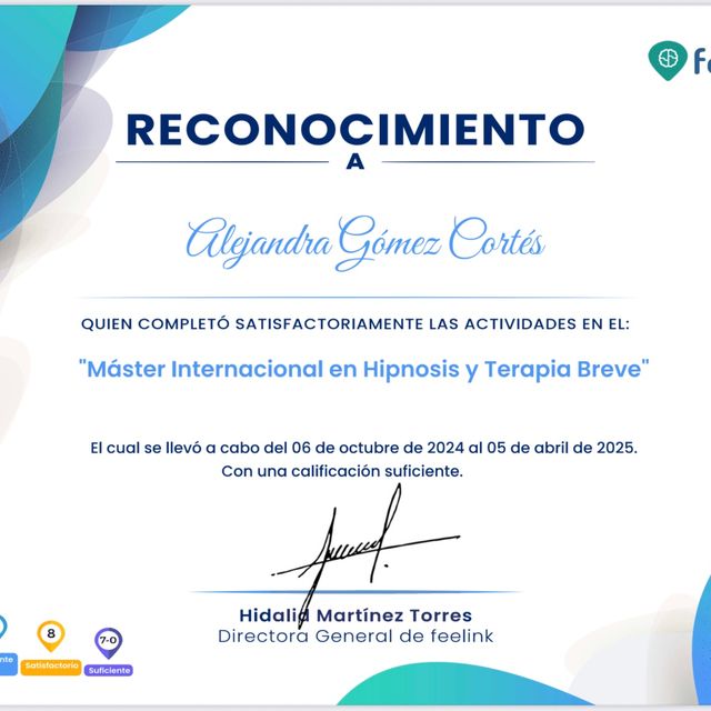 Ampliar imagen: certificate 8
