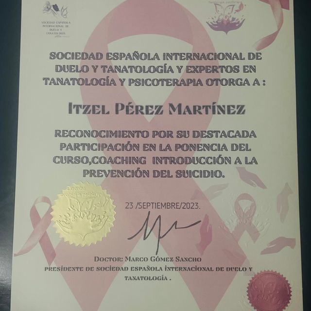 Ampliar imagen: certificate 4