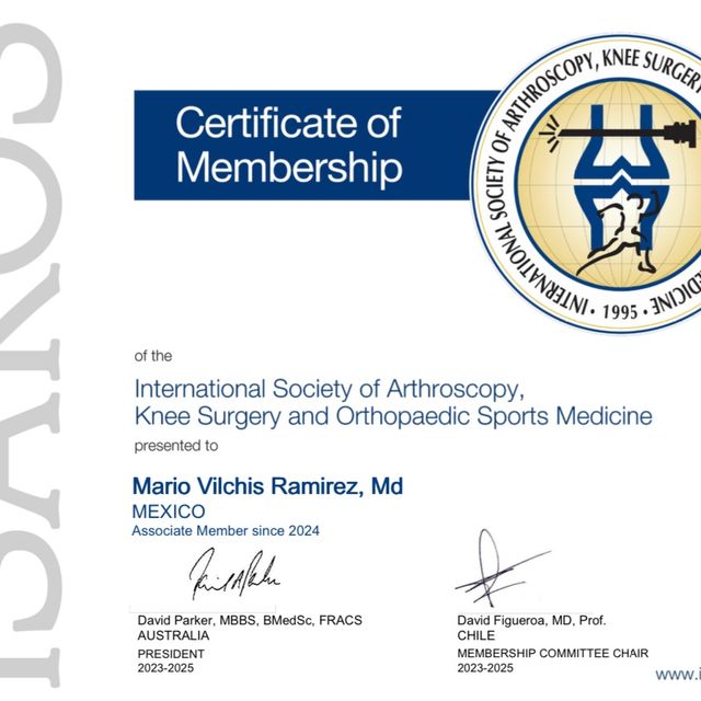 Ampliar imagen: certificate 2