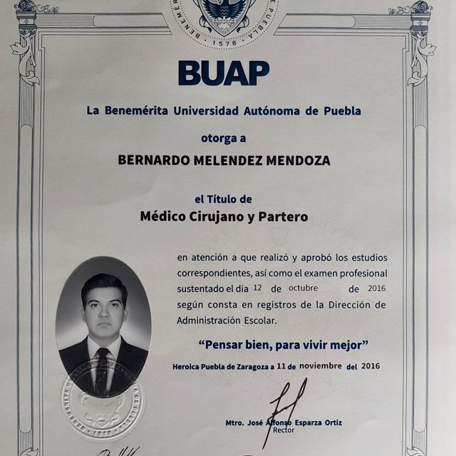 Ampliar imagen: certificate 4
