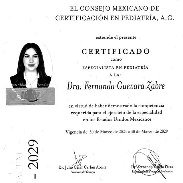 Ampliar imagen: certificate 3