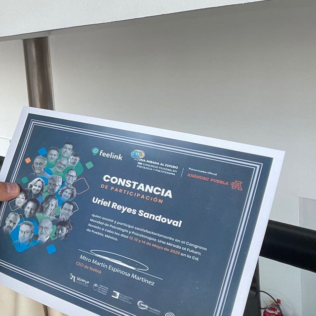 Ampliar imagen: certificate 6