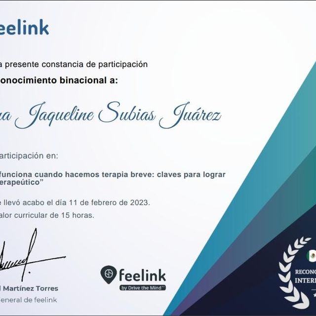 Ampliar imagen: certificate 6