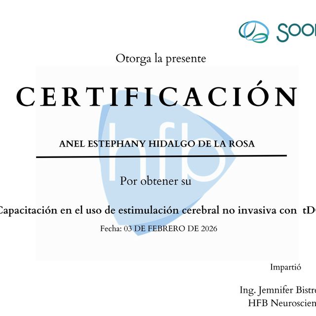 Ampliar imagen: certificate 16