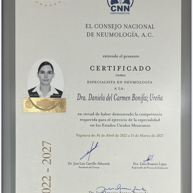 Ampliar imagen: certificate 2