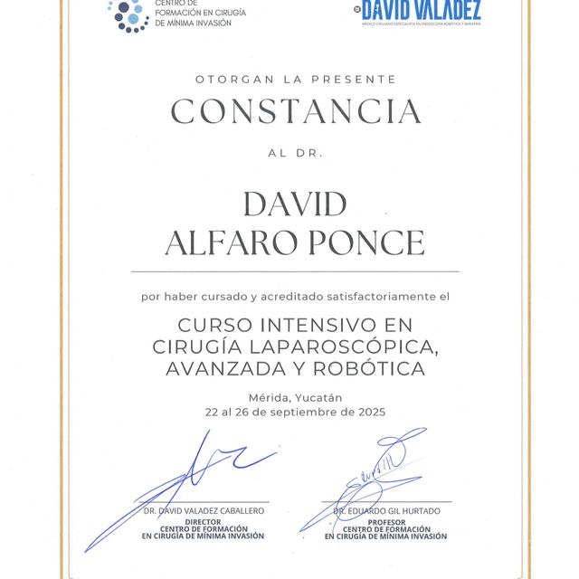 Ampliar imagen: certificate 12