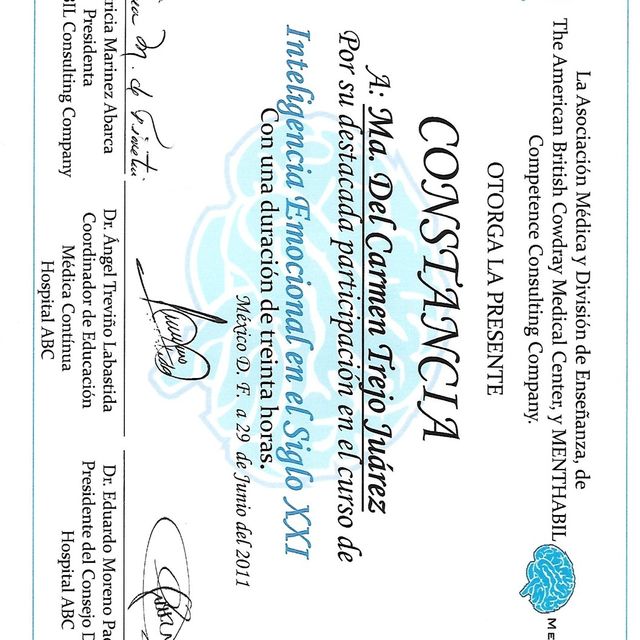 Ampliar imagen: certificate 5