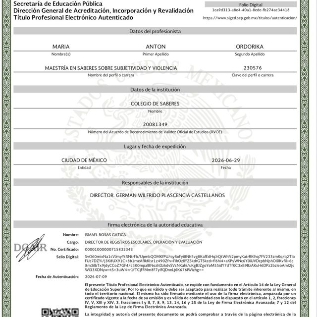 Ampliar imagen: certificate 1