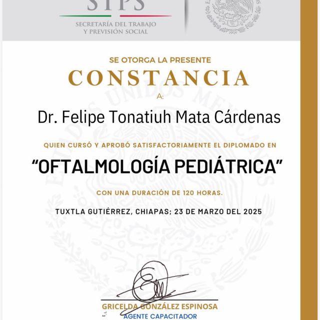 Ampliar imagen: certificate 1