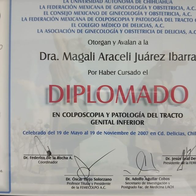 Ampliar imagen: certificate 4