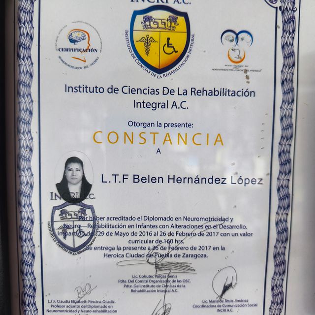 Ampliar imagen: certificate 5