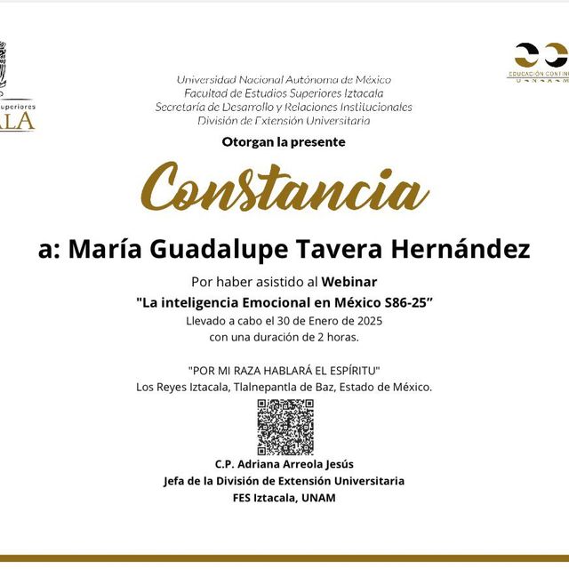 Ampliar imagen: certificate 17