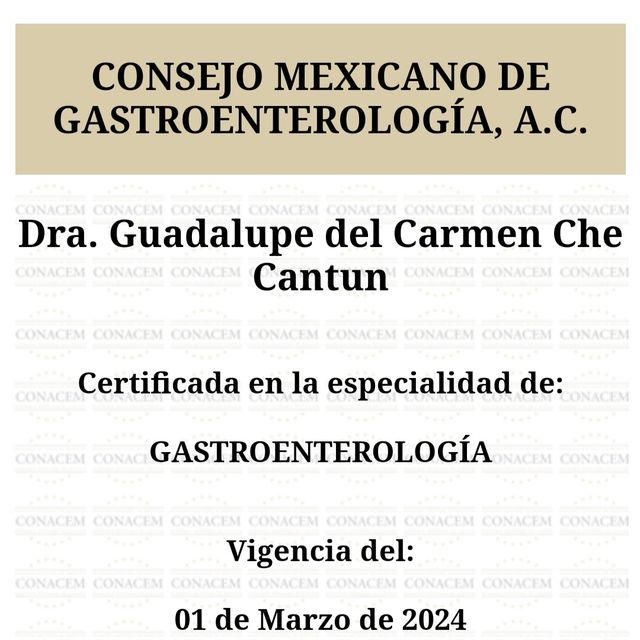 Ampliar imagen: certificate 2