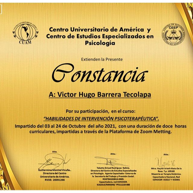 Ampliar imagen: certificate 12