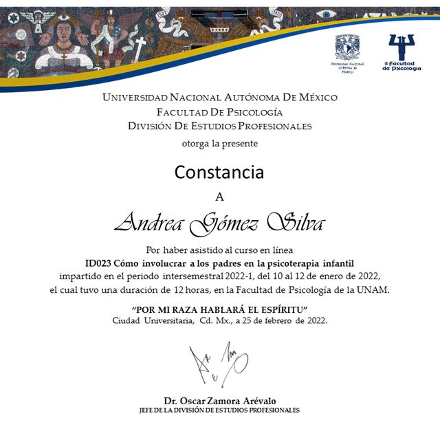 Ampliar imagen: certificate 9