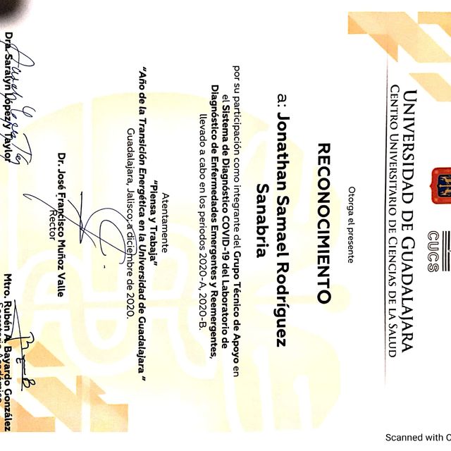 Ampliar imagen: certificate 4