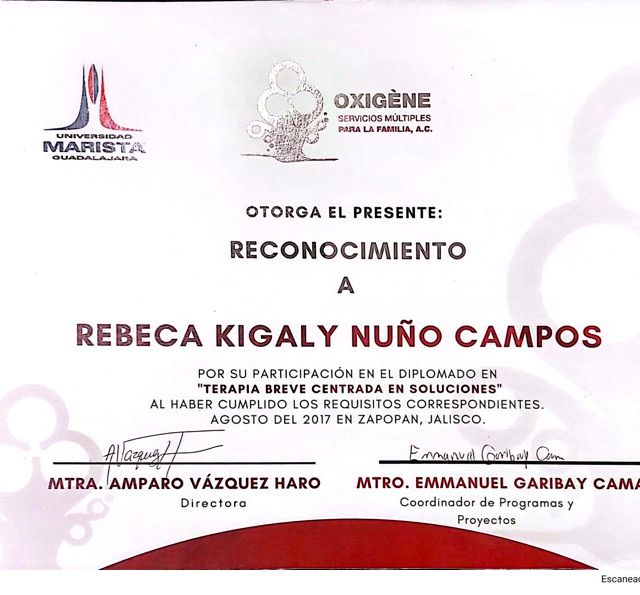 Ampliar imagen: certificate 1