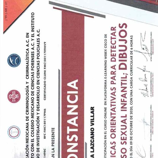 Ampliar imagen: certificate 8