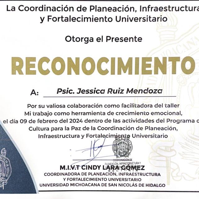 Ampliar imagen: certificate 3